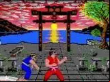 International Karate Plus